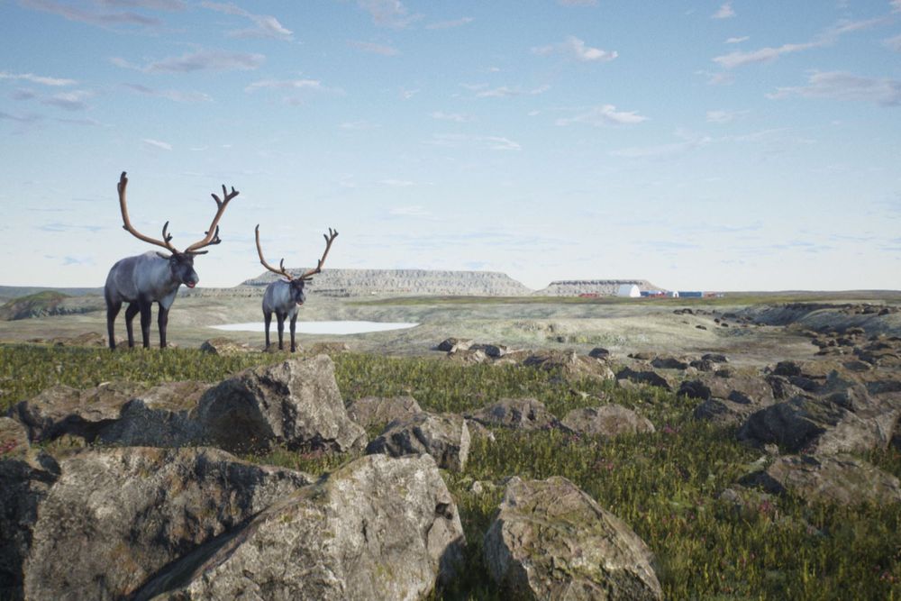 3D render of three caribou standing on rocky tundra, with a mine site and water visible on the horizon behind them
