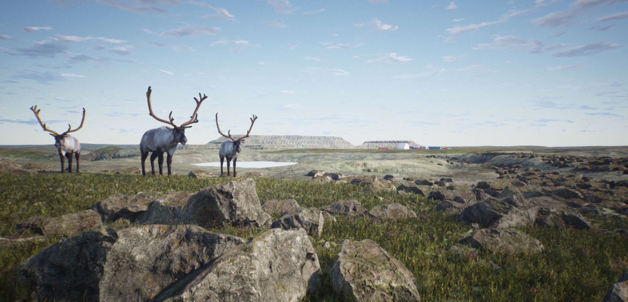 3D render of three caribou standing on rocky tundra, with a mine site and water visible on the horizon behind them